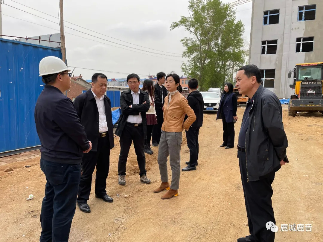鹿乡镇迎接省级特色小镇第三方现场评估