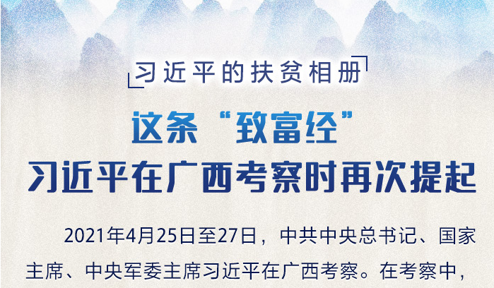 习近平的扶贫相册|这条“致富经”，习近平在广西考察时再次提起