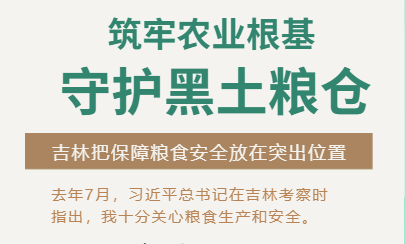 H5筑牢农业根基 守护黑土粮仓