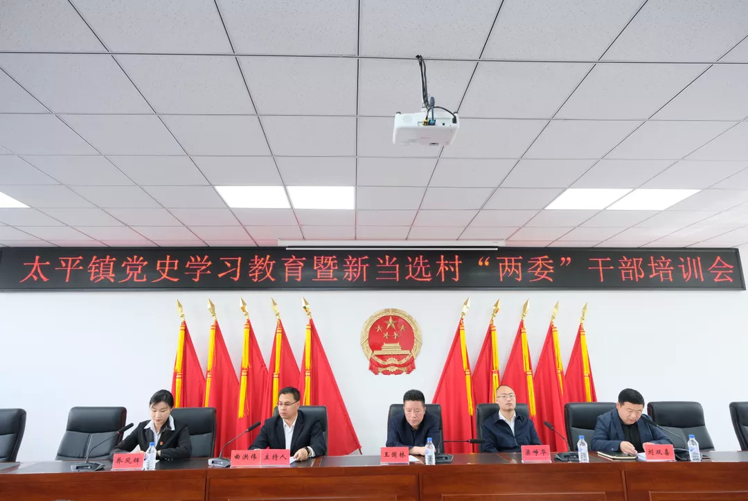 太平镇召开党史学习教育暨新当选“村两委”干部培训会