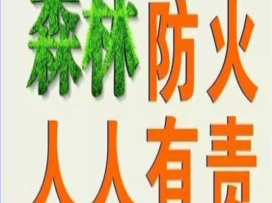 吉林省发布森林火险黄色预警