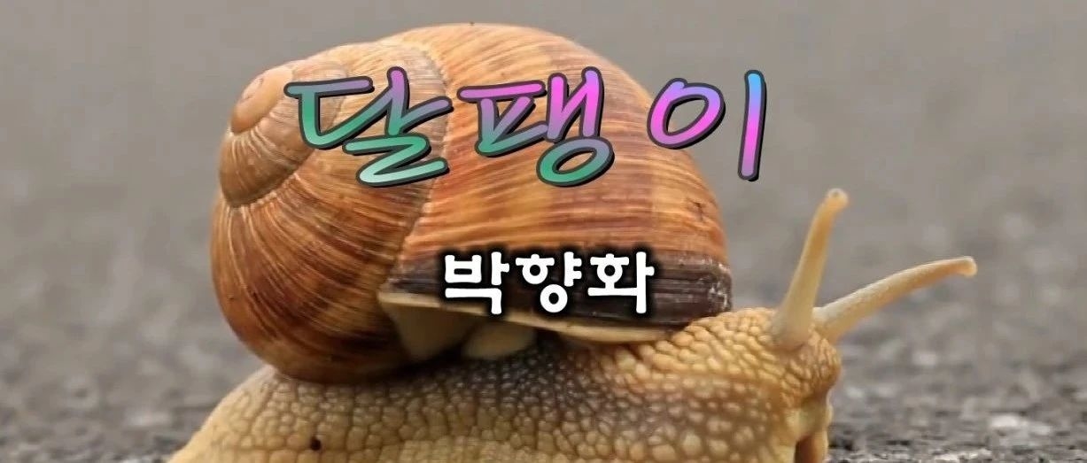 【手机可视广播】시 - 달팽이