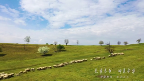 镜头中的长白丨灵秀长白 醉美金华