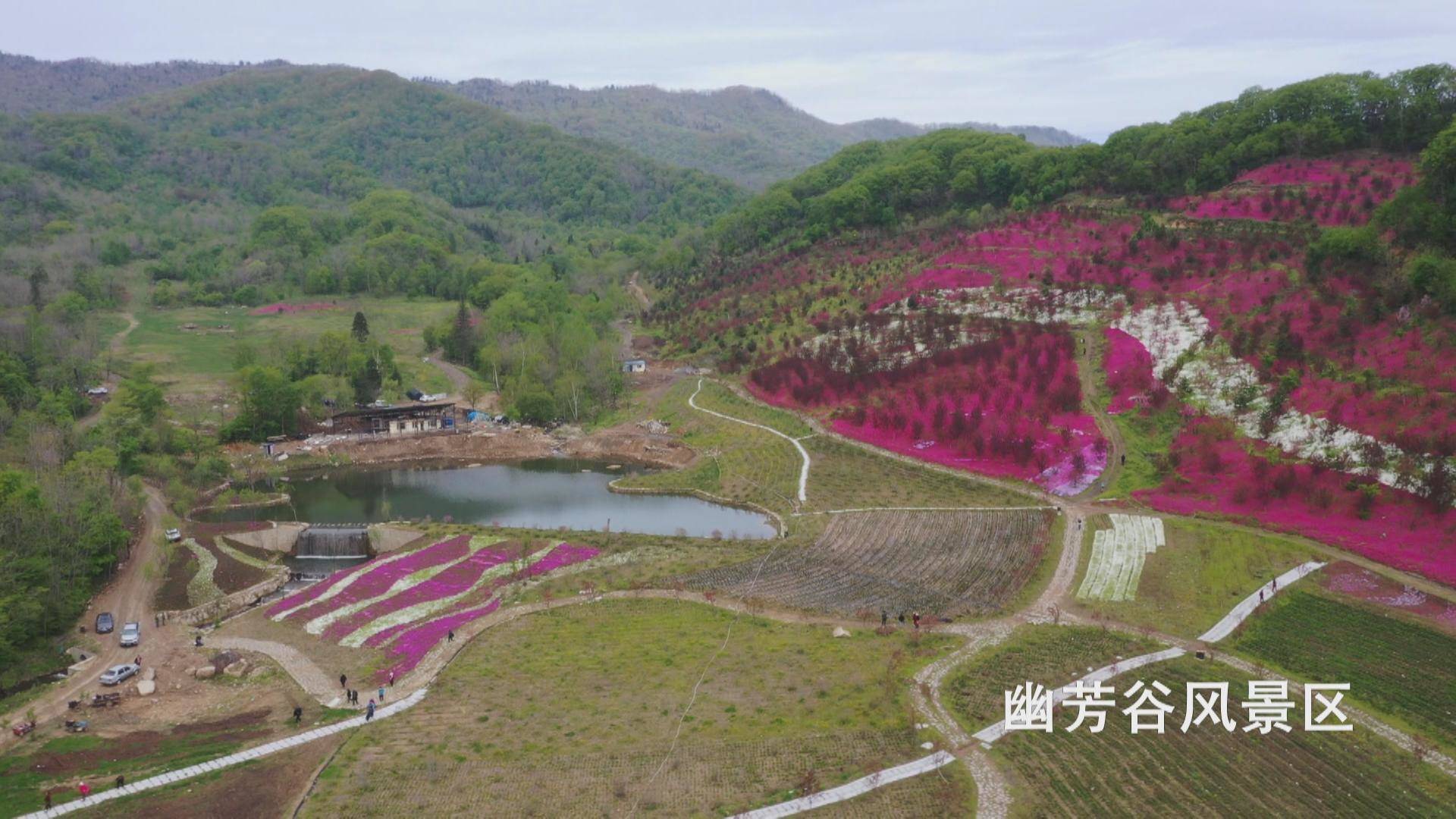 蛟河：花开幽芳谷 春意惹人醉