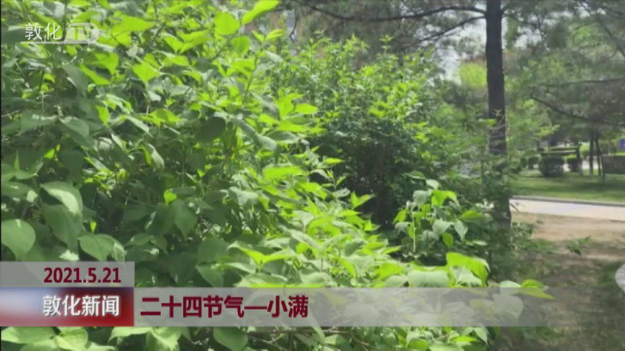 二十四节气——小满