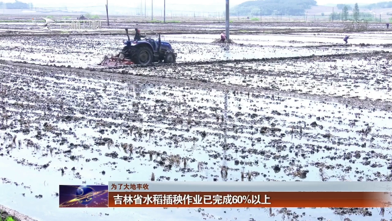 【为了大地丰收】吉林省水稻插秧作业已完成60%以上