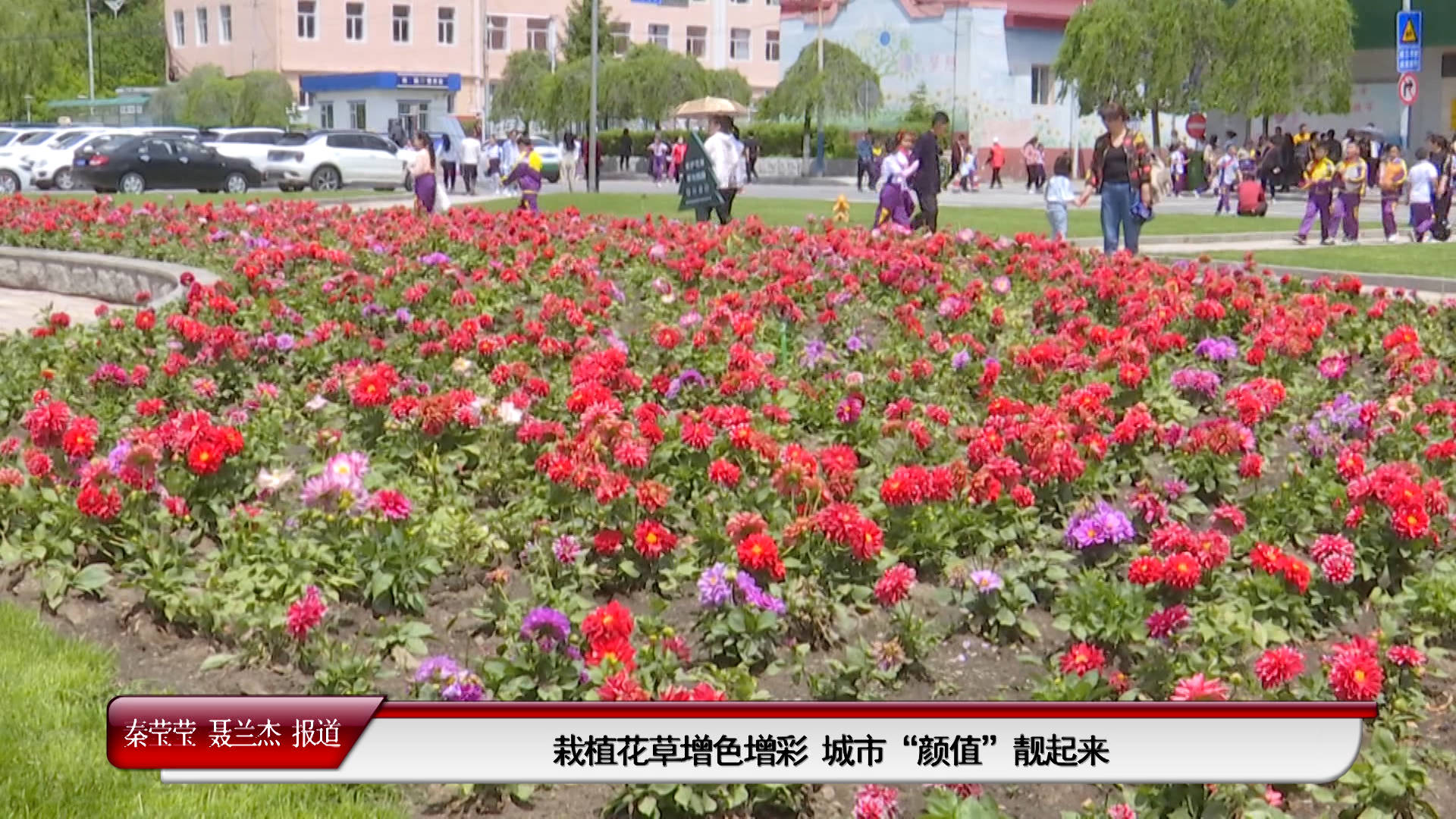 栽植花草增色增彩 城市"颜值"靓起来（6月2日首播）