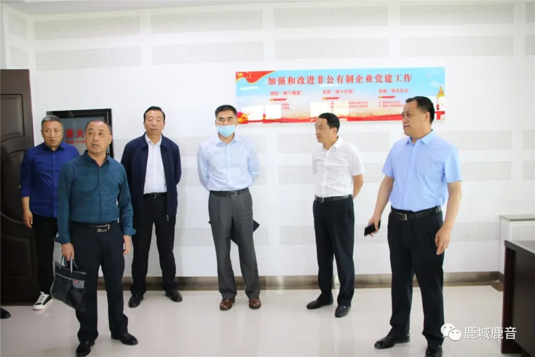 省人大调研组来鹿乡镇调研