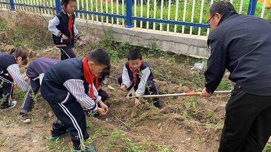 额穆中心小学校组织学生体验黄豆种植享受劳动快乐