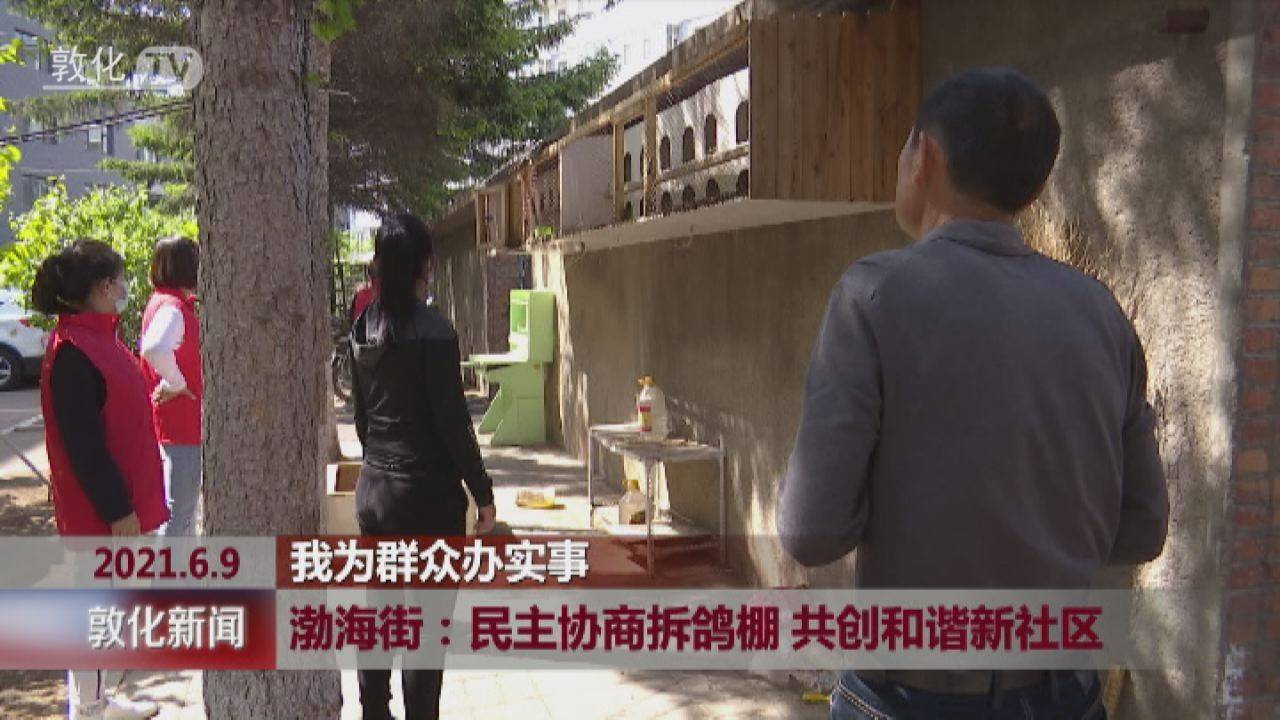 敦化市渤海街：民主协商拆鸽棚 共创和谐新社区