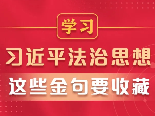 学习习近平法治思想，这些金句要收藏