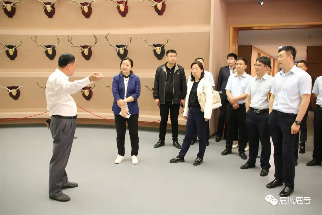 建设银行·鹿乡镇政府乡村振兴启动会在鹿乡镇召开