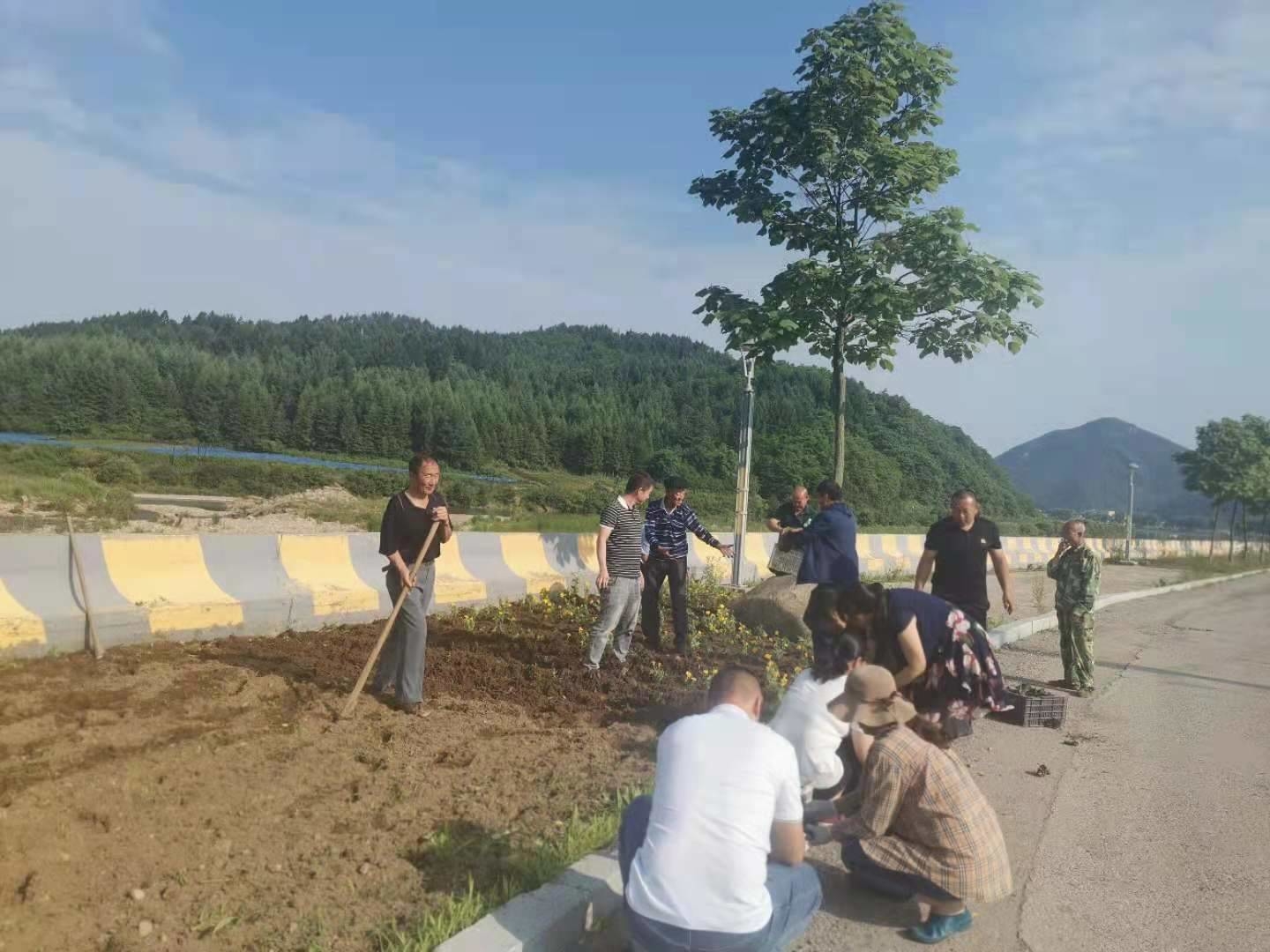 【我为群众办实事】集安市台上镇兴安村开展“美化亮化村屯”主题党日活动