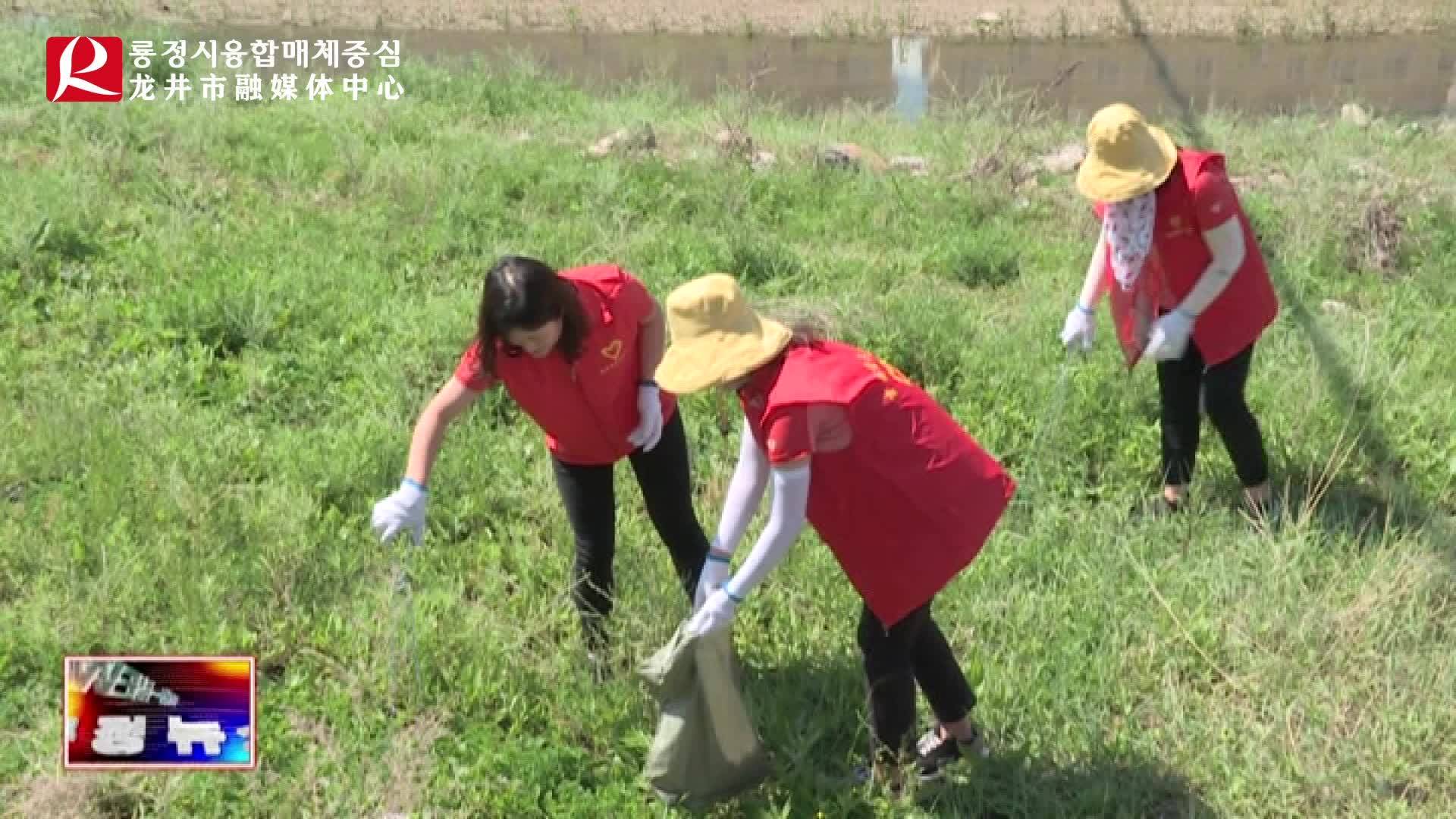 【룡정뉴스】우리시서 <<하장 순하>> 활동 전개