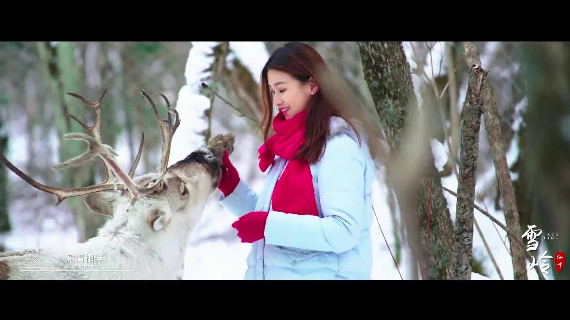 美丽中国·鲜到延边！梦幻雪岭，童话世界！