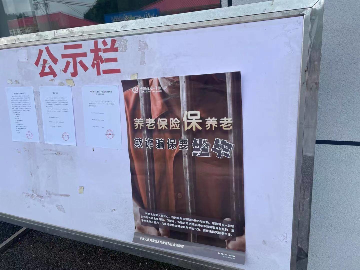 集安市大路镇开展打击欺诈骗取社会保险基金宣传活动