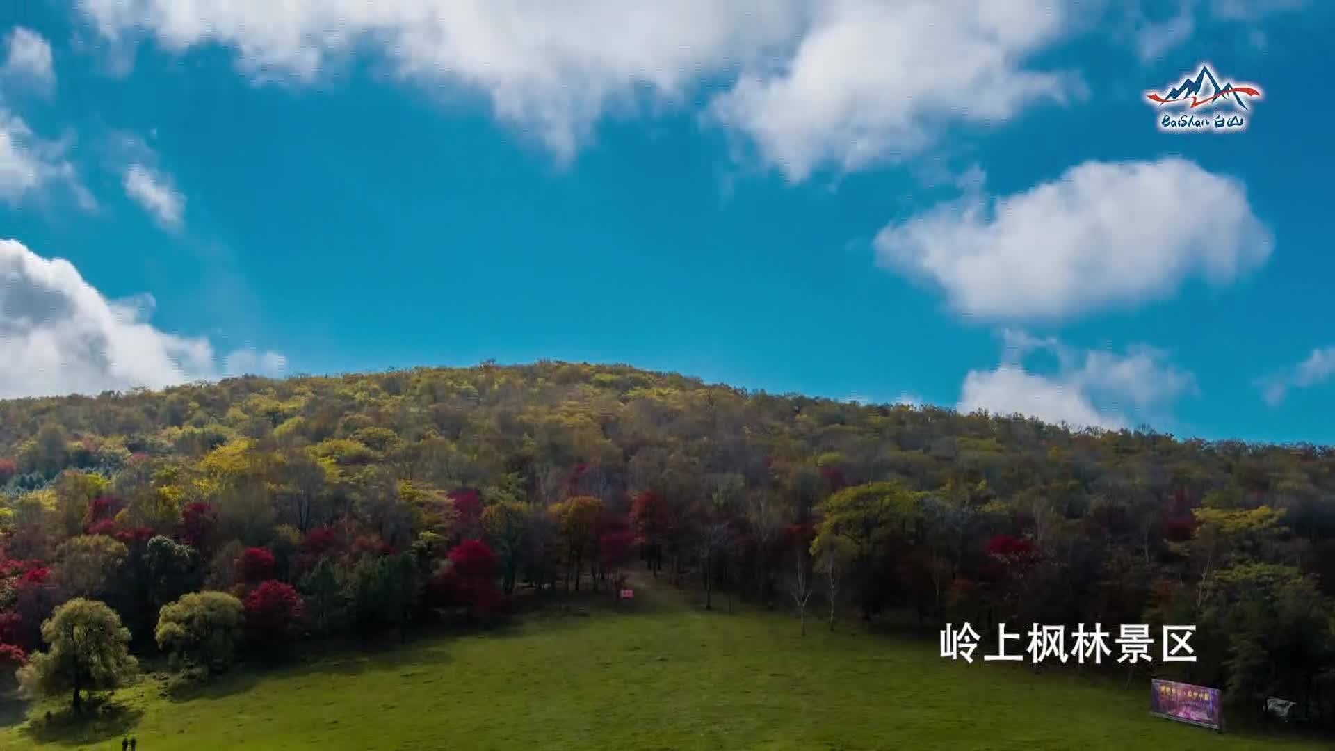 白山之夏|沿鸭绿江边行走 为美丽山水停留——炫彩篇