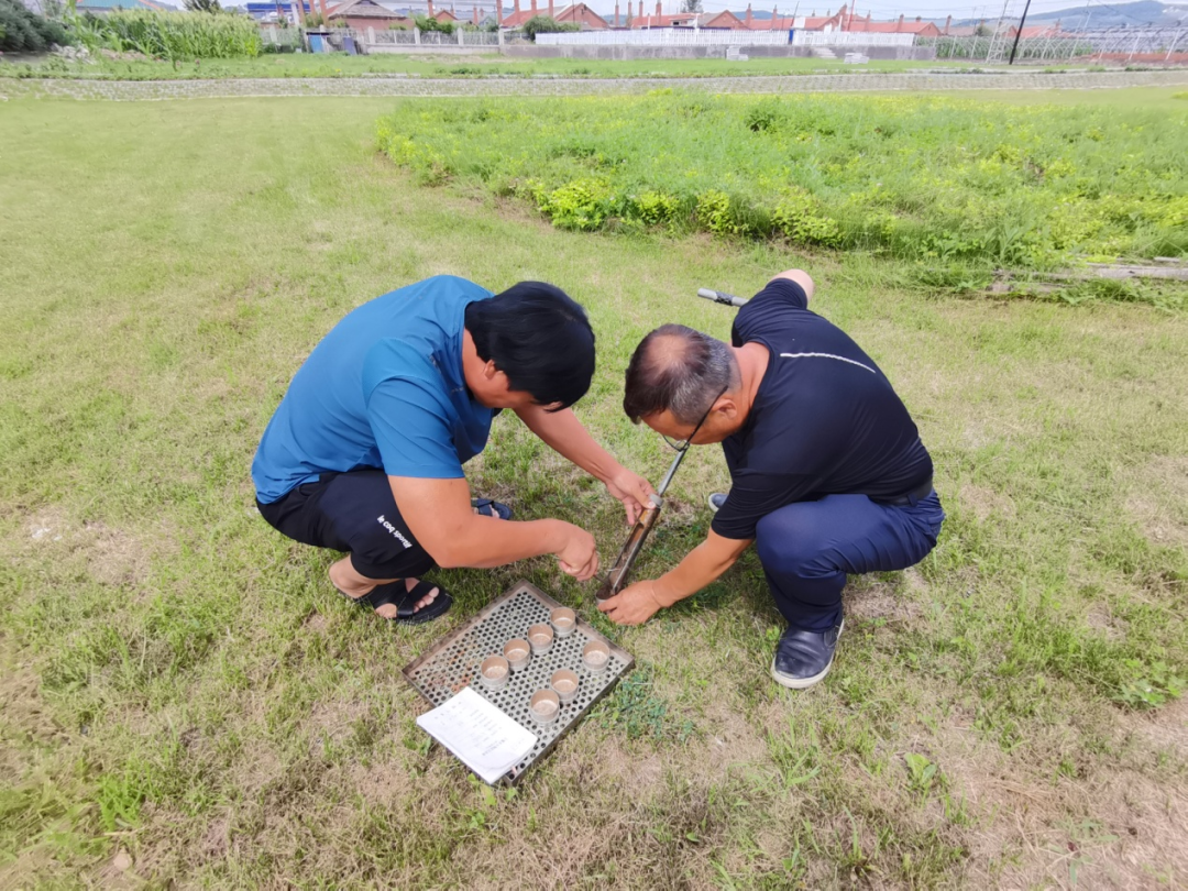 龙井市气象局“四个强化”做好高温干旱气象服务工作