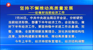 做好当前经济工作 坚持不懈推动高质量发展