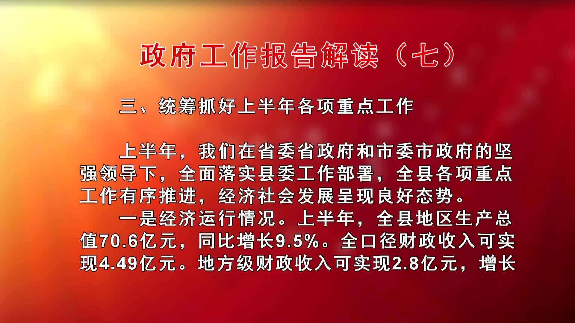 政府工作报告解读（七）