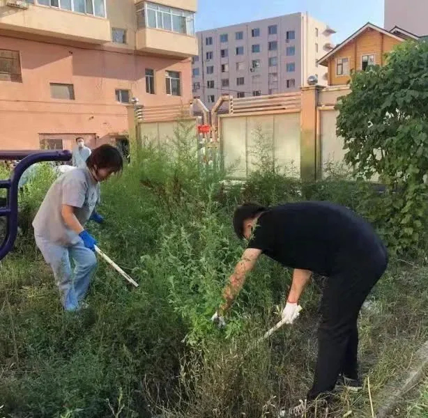 珲春市靖和社区卫生服务中心开展清理杂草主题党日活动