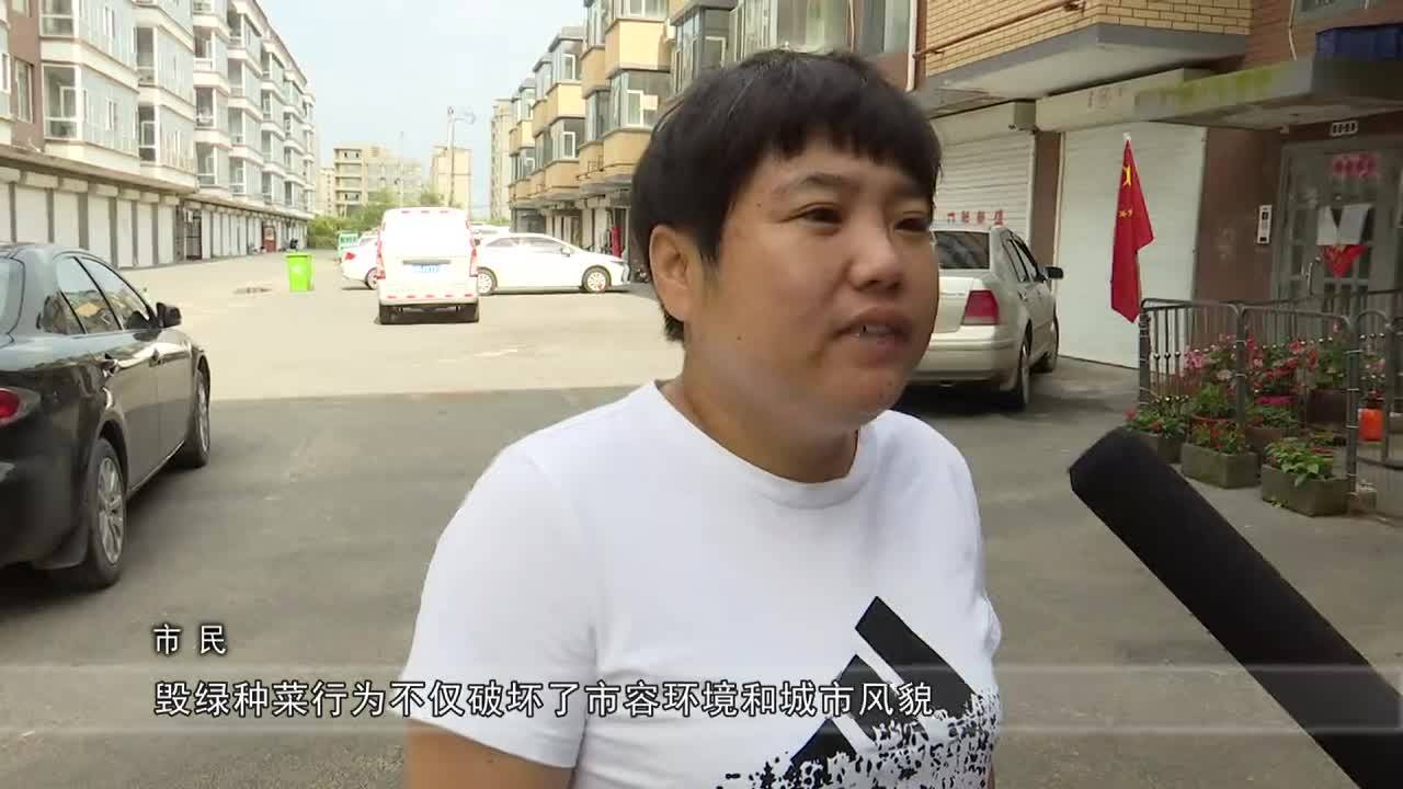 城管在行动 曝光台