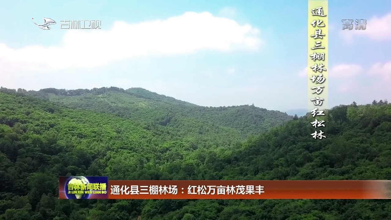通化县三棚林场：红松万亩林茂果丰