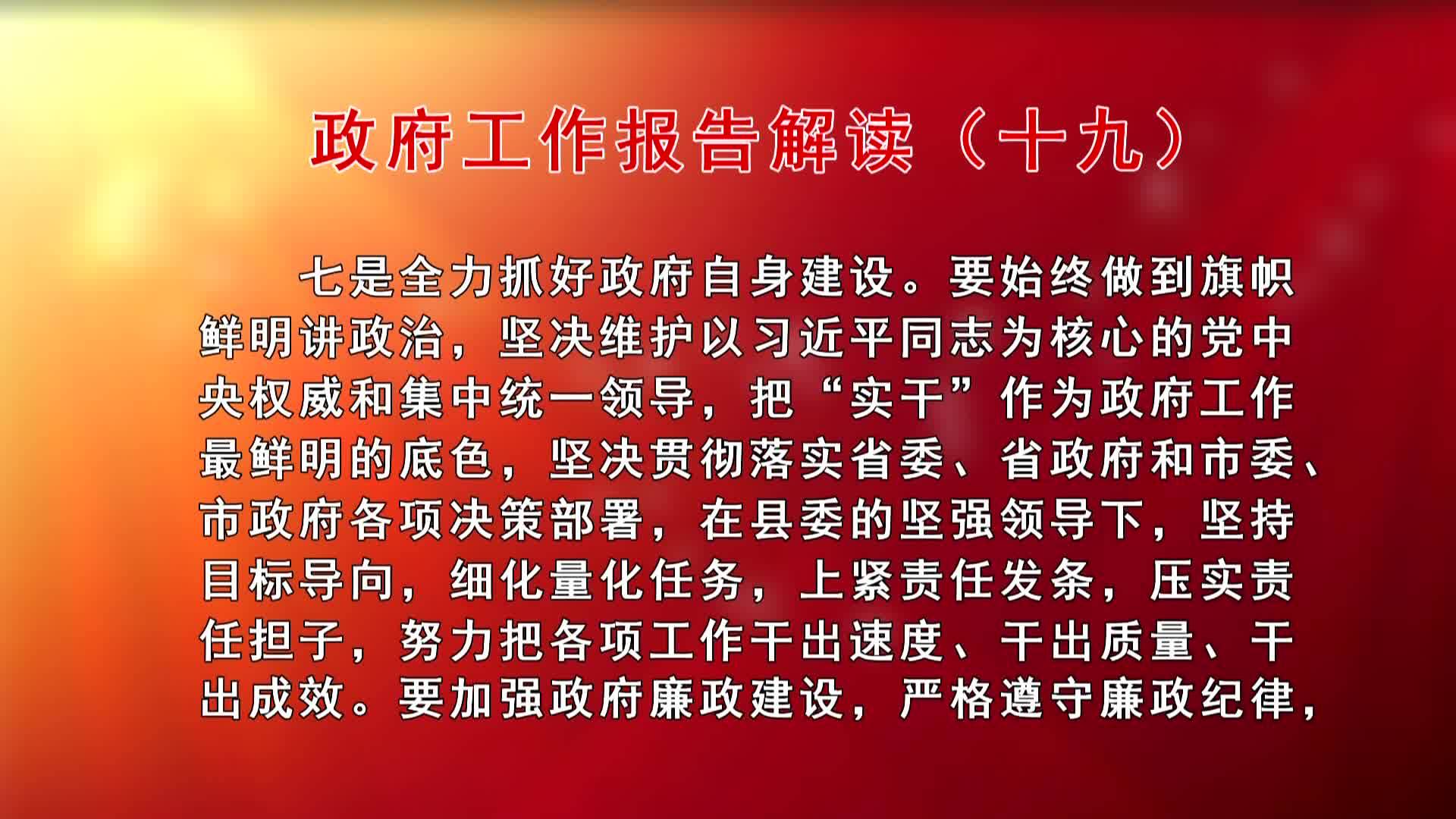 政府工作报告解读（十九）