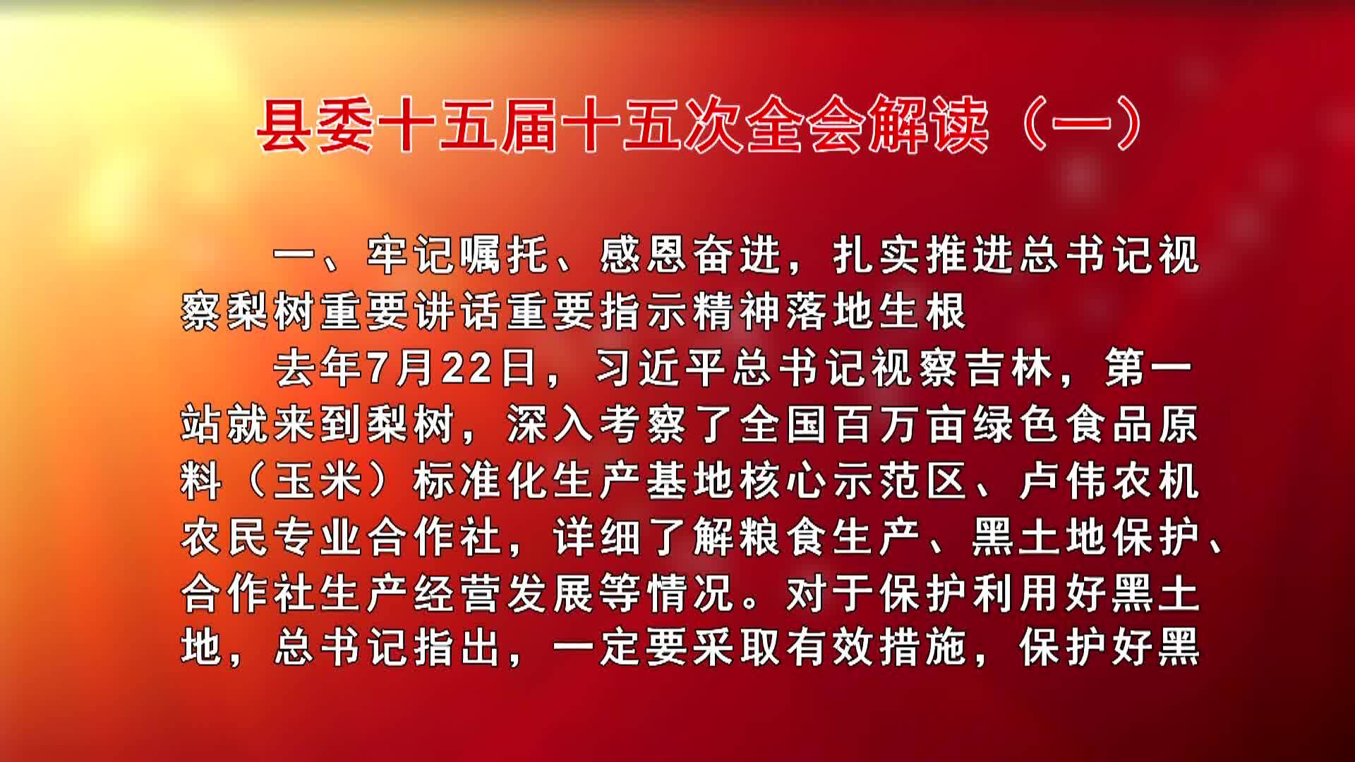 县委十五届十五次全会解读（一）