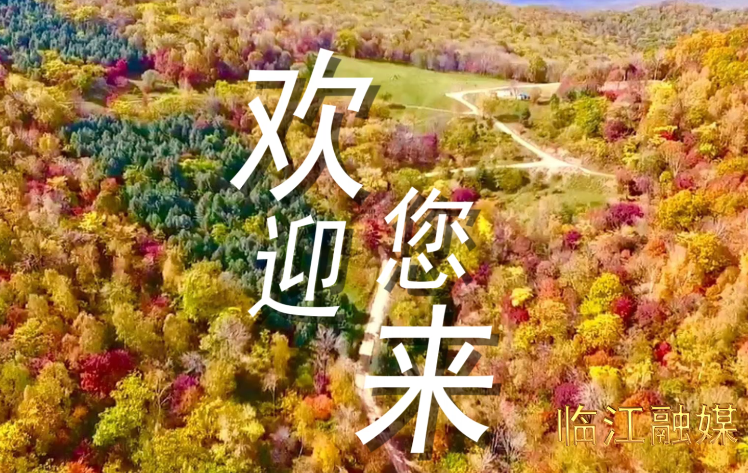 临江 | 岭上枫林秋日美景 邀您来赏（横屏观看更精彩）