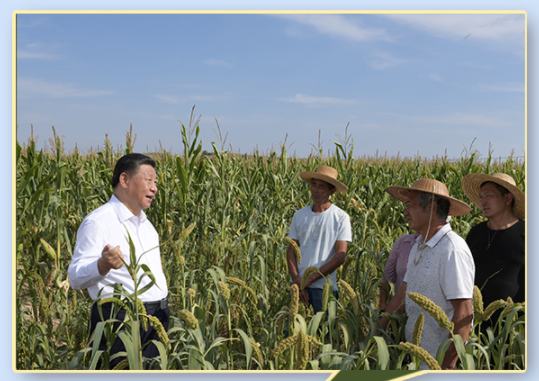 第一观察丨察夏粮、看秋粮，总书记今年考察中为何两次实地察看粮食长势