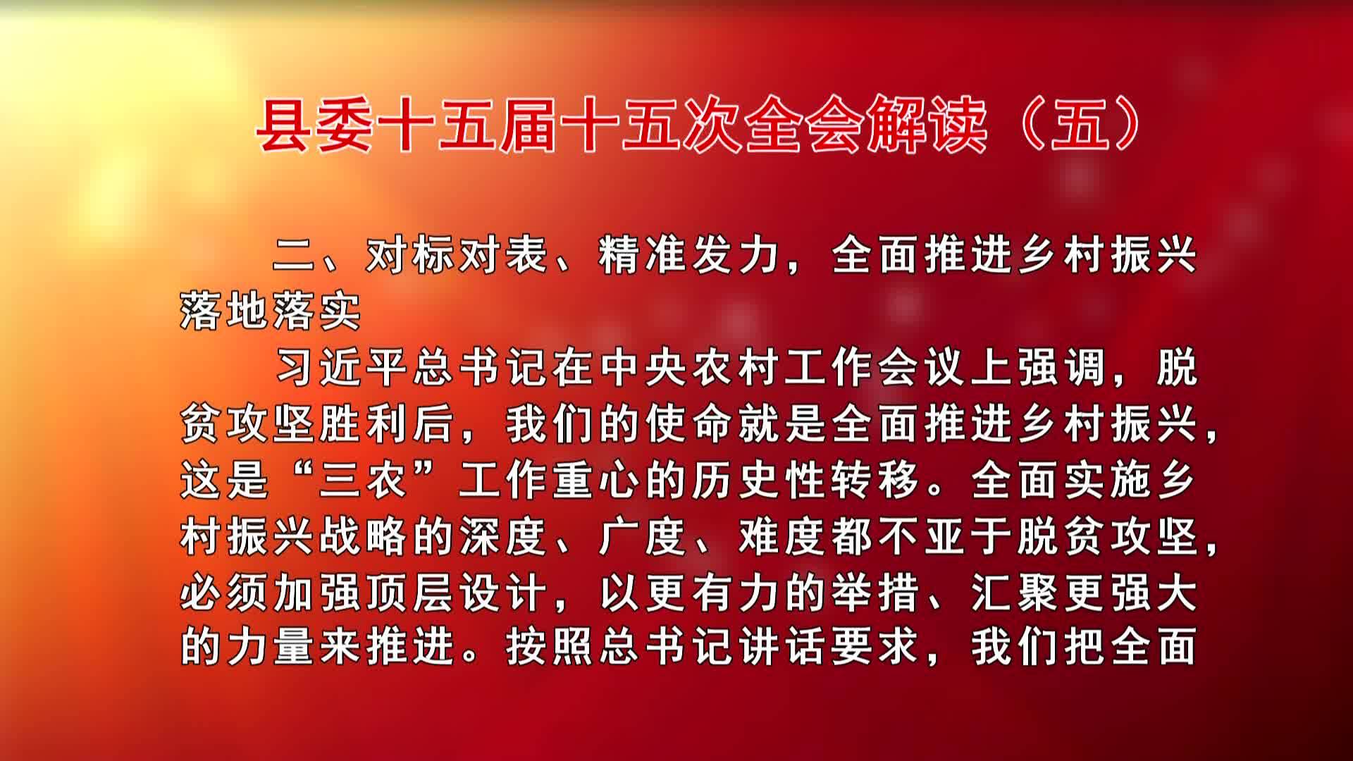 县委十五届十五次全会解读（五）