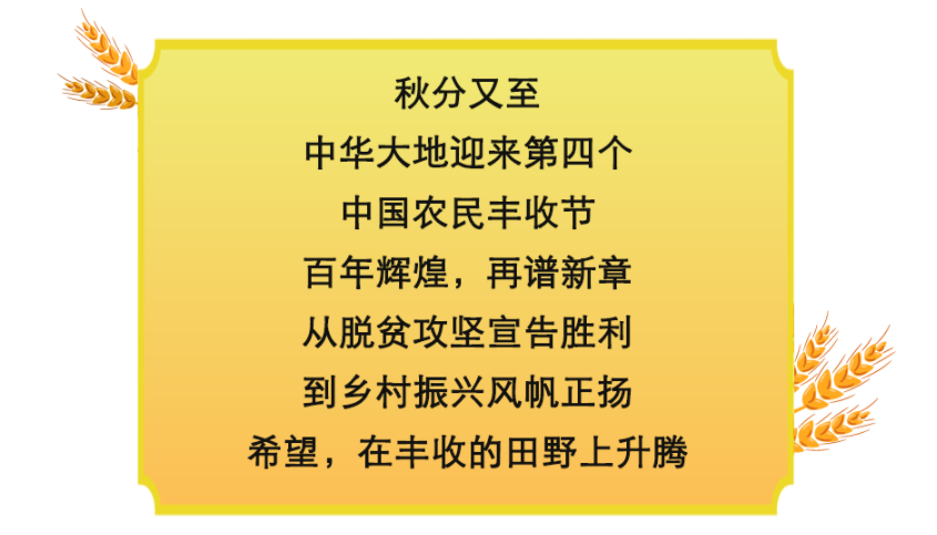 镜观·领航丨乡村振兴，在希望的田野上