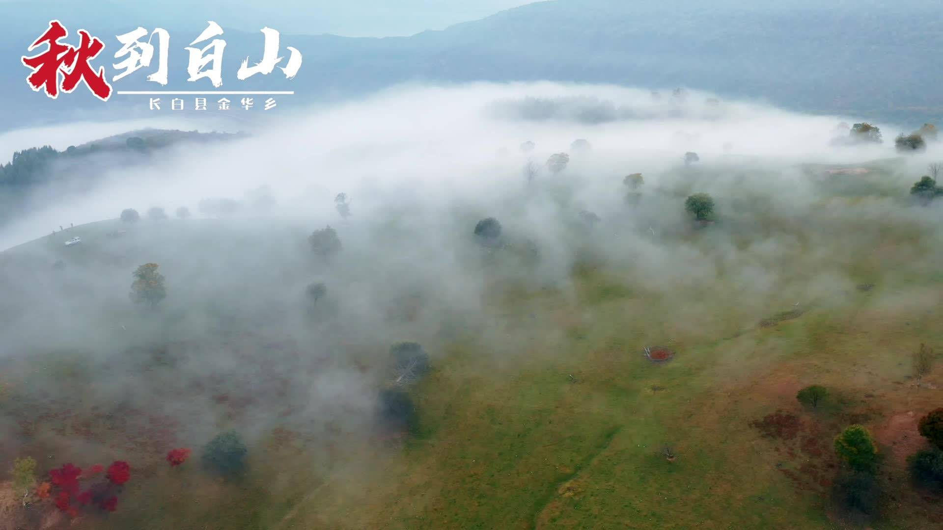 秋到白山 长白县金华乡