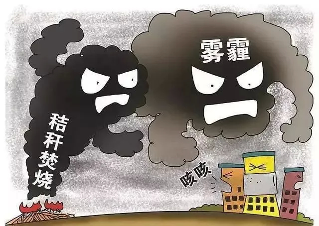 秸秆禁烧，这些你一定要知道！