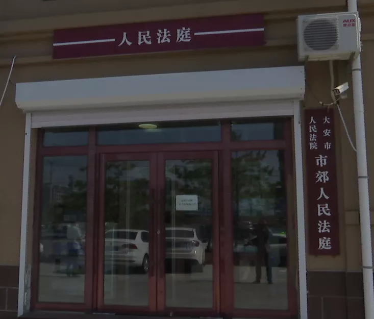 【我为群众办实事】大安市人民法院市郊法庭：扎根基层守公平 定分止争护正义