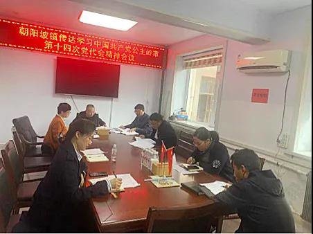 【学习贯彻市第十四次党代会精神】朝阳坡镇学习贯彻落实市第十四次党代会精神