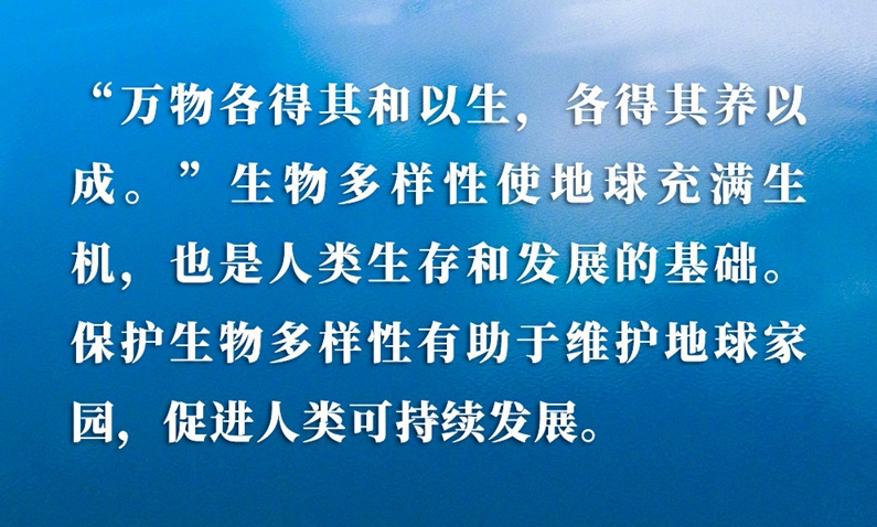 习近平在《生物多样性公约》第十五次缔约方大会领导人峰会上的主旨讲话速览