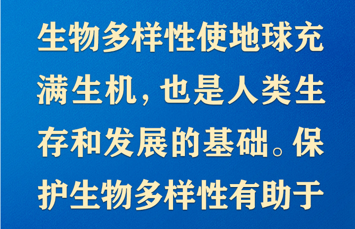 共同构建地球生命共同体，习近平提出“中国方案”