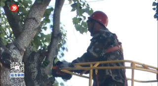 延吉城管部门开展冬季树木防寒养护工作