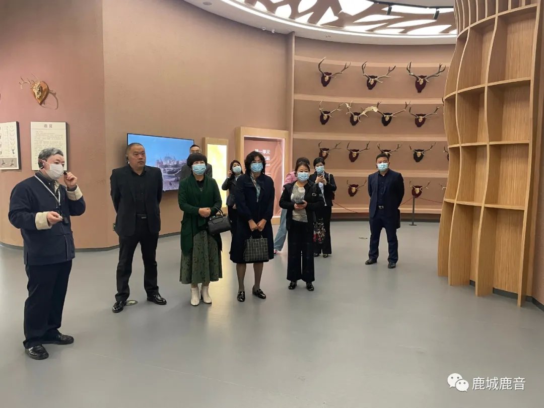 区政协社法委三组来鹿乡镇政协委员联络站开展活动