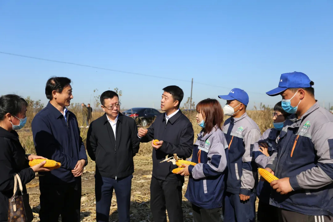 长春市委副书记徐晗到奢岭街道调研