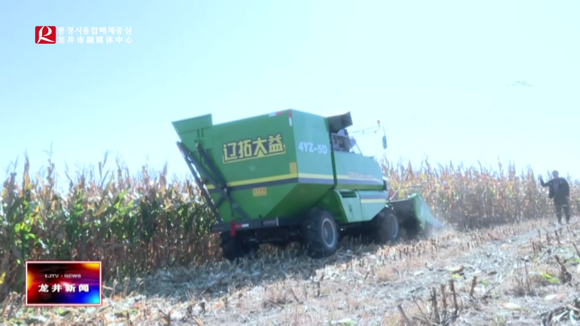 【龙井新闻】市农业农村局农机总站举办秋季玉米机械化作业现场会