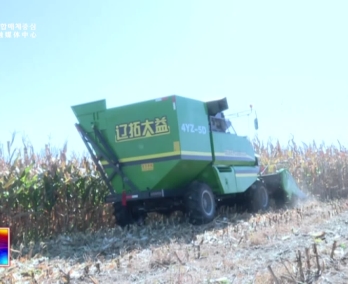 【龙井新闻】市农业农村局农机总站举办秋季玉米机械化作业现场会