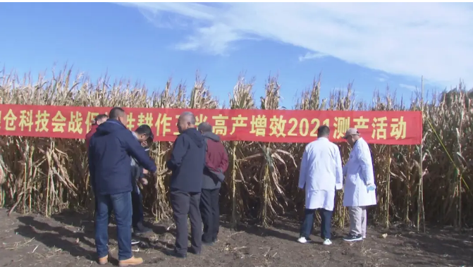 （为了大地丰收）梨树县高家村中国科学院保护性耕作基地连续四年亩产超吨粮