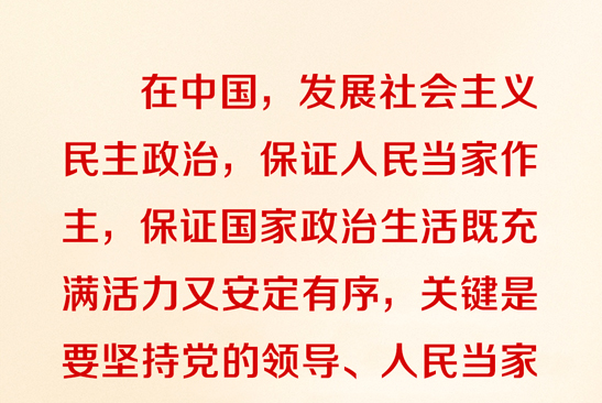 这一根本政治制度 习近平要求毫不动摇地坚持和完善