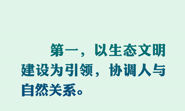 我们的共同家园｜开启人类高质量发展新征程 习近平提出四点倡议