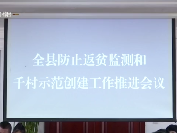 辉南县召开防止返贫监测和千村示范创建工作推进会议