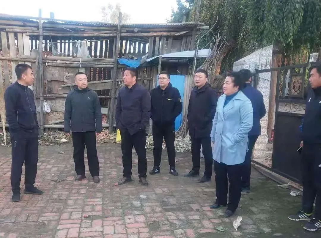 区领导现场检查指导山河街道“千村示范”百日攻坚工作