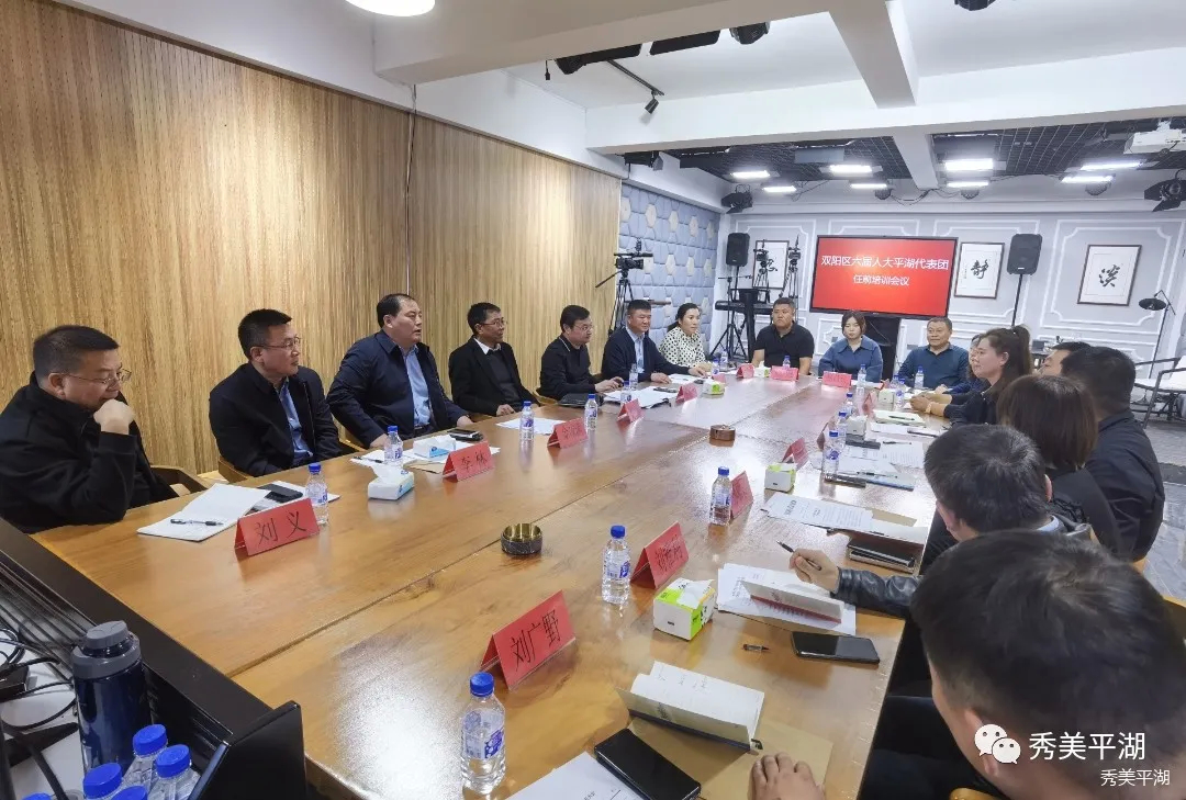 平湖街道召开双阳区六届人大代表平湖代表团任前培训会议